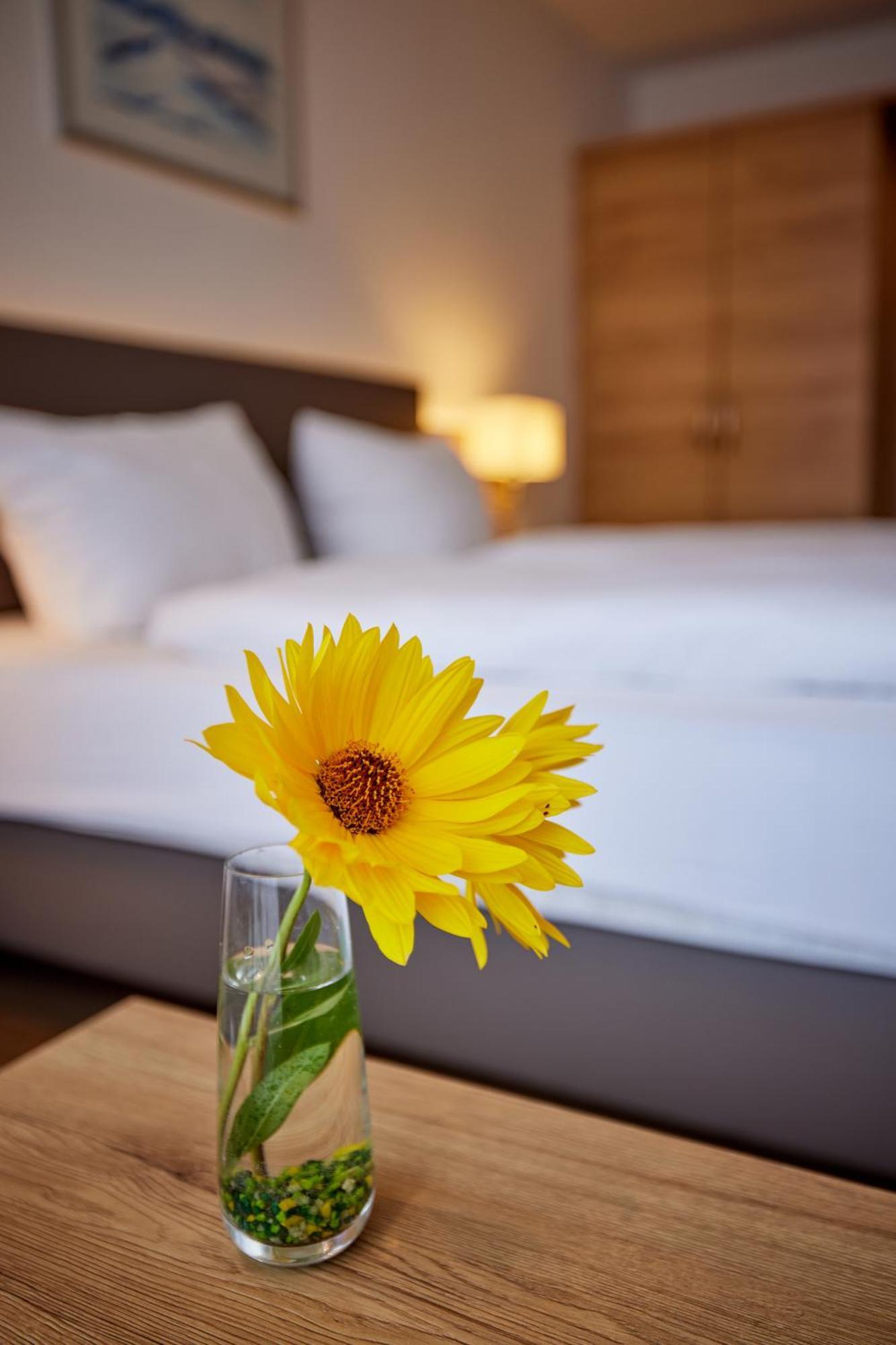 Hotel Restaurant Stegemann Saerbeck ภายนอก รูปภาพ